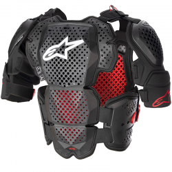 PROTECCION ALPINESTARS A-10 V2 FULL CHEST