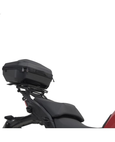 %category% |Beatbikers