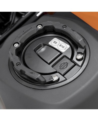 %category% |Beatbikers