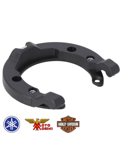 %category% |Beatbikers