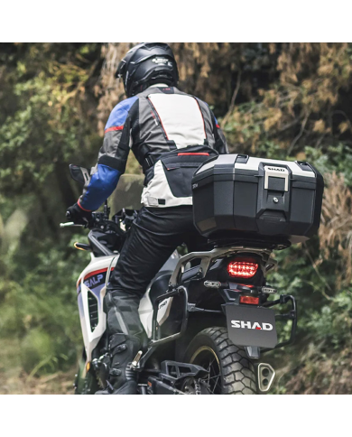 %category% |Beatbikers